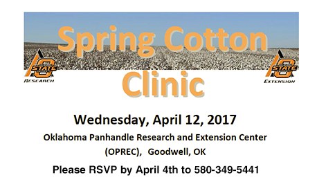 Spring Cotton Clinic - Goodwell