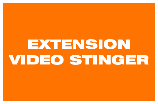 Extension Video Stinger
