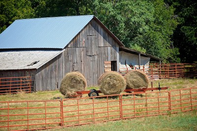 Barn with Hay
