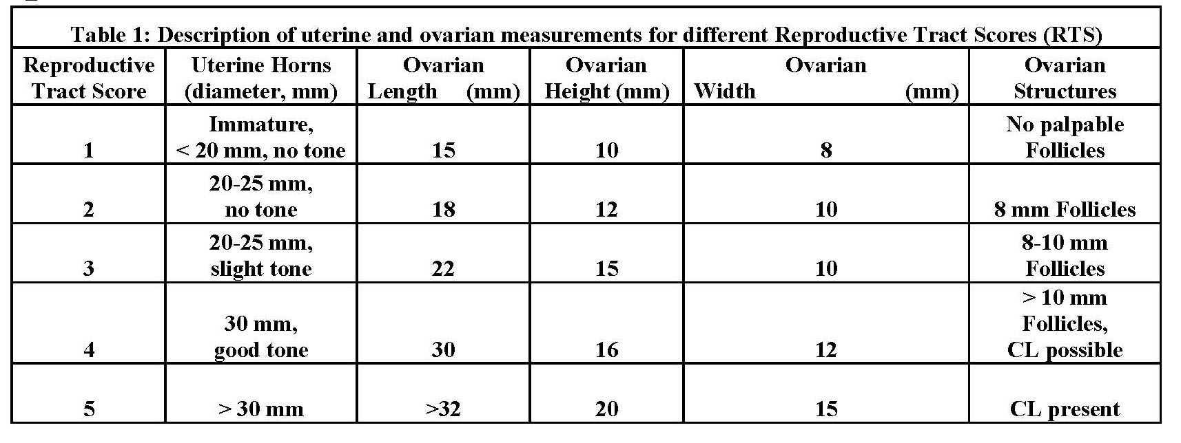 Table-031