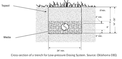 Low Pressure Dosing System Cross Sectin