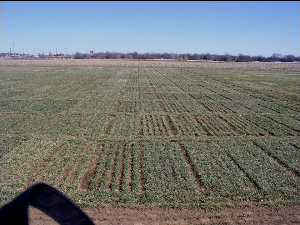 Using GrazenGrain on these plots