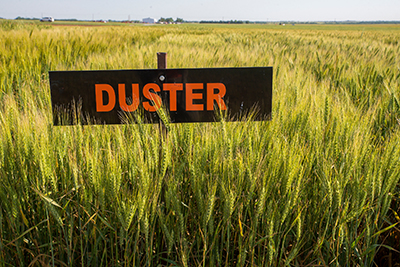 2006 Duster