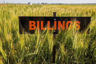 2009 Billings small