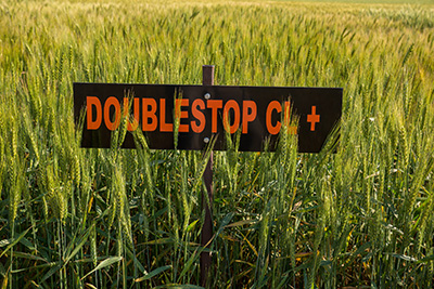 2013 Doublestop CL Plus
