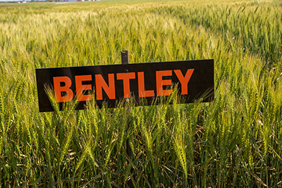 2015 Bentley