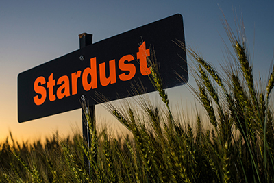 2016 Stardust