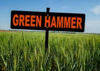 2018 Green Hammer jpg
