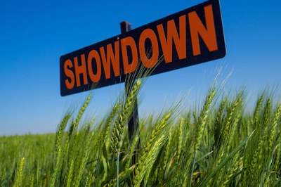 2018 Showdown jpg