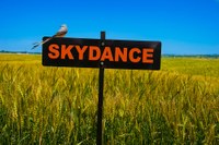 2018 Skydance jpg